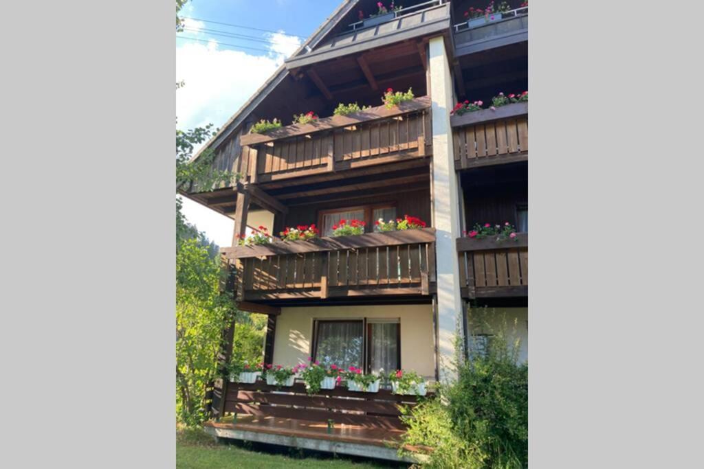 Gemuetliche Ferienwohnung In Sankt Blasien Exterior photo