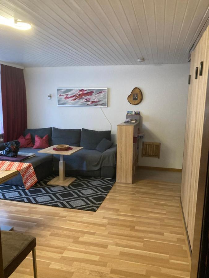 Gemuetliche Ferienwohnung In Sankt Blasien Exterior photo