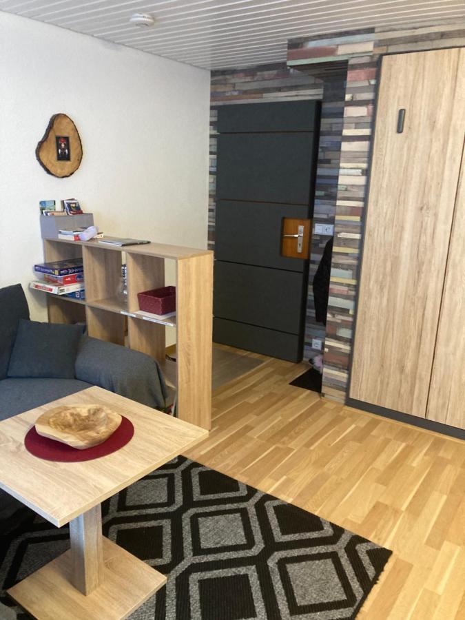 Gemuetliche Ferienwohnung In Sankt Blasien Exterior photo